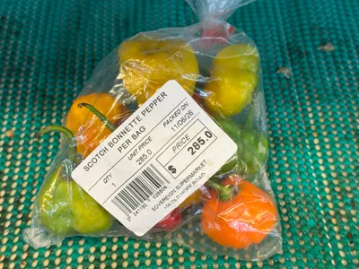 Scotch Bonnette Peppers