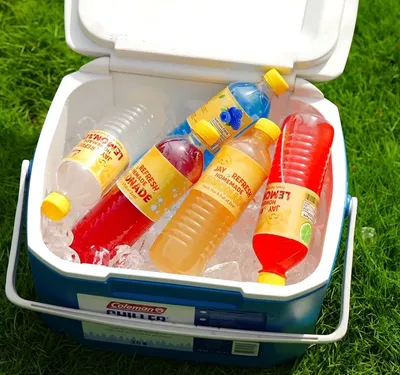 Jay Refresh Lemonade - Mixed Case